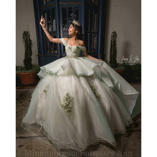 Birthday Party Dress Off Shoulder Sage Green Quince Dresses Lace Appliques Vestidos De 15 Anos Sweetheart Neck 2024 Instagram Gowns