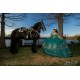 Cape Sleeve Emerald Green Quinceanera Dress Sweetheart Neck Sweet 15 Gowns Lace Appliques Vestidos De 15 Anos 2024 Instagram Gowns