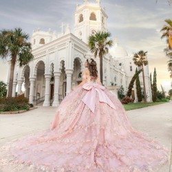 Customized Pink Quinceanera Dress Ball Gown 3D Flowers Applique Beading Bow Corset Sweet 16 Vestido De 15 Anos