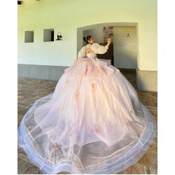 Detachable Sleeve Pink Quinceanera Dress Sweet 15 16 Ball Gown Prom Dresses Custom Made Romantic Formal Cocktail Gown