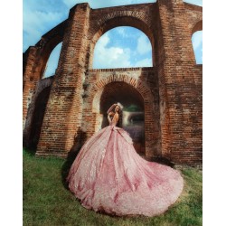 Detachable Sleeve Quinceanera Dress Pink Sweet 15 Gowns Sweetheart Neck Sequin Vestidos De 15 Anos With Bow