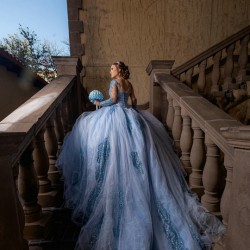 Long Sleeve Sky Blue Quinceanera Dresses with Appliquea Tulle Corset Vestidos De 15 Anos Custom Made