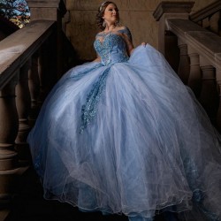 Long Sleeve Sky Blue Quinceanera Dresses with Appliquea Tulle Corset Vestidos De 15 Anos Custom Made