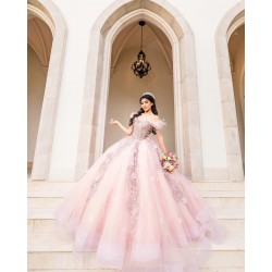 Off Shoulder Pink Quince Dress Sweetheart Neck Vestidos De 15 Anos Sequin Birthday Party Dress