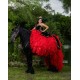 Ruffled Red On Black Quince Dresses Sleeveless Birthday Party Dress Lace Appliques Vestidos De 15 Anos Sweetheart Neck 2024 Instagram Gowns