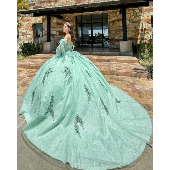 Sage Green Quinceanera Dresses Sweetheart Neck 2024 Ball Gown Sleeveless Princess Dress Lace Appliques Vestidos De 15 Anos