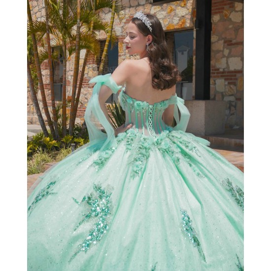 Sage Green Quinceanera Dresses Sweetheart Neck 2024 Ball Gown Sleeveless Princess Dress Lace Appliques Vestidos De 15 Anos