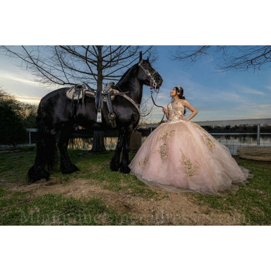 Sleeveless Rose Gold Quinceanera Dress Lace Appliques Sweet 15 Gowns Wear Pageant Sweetheart Neck 2024 Instagram Gowns