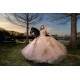 Sleeveless Rose Gold Quinceanera Dress Lace Appliques Sweet 15 Gowns Wear Pageant Sweetheart Neck 2024 Instagram Gowns