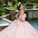 Sleeveless Pink Quince Dress Ball Gown New 3D Floral Appliques Vestidos De 15 Anos Customized