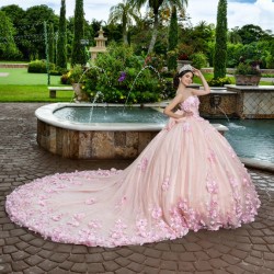 Sleeveless Pink Quince Dress Ball Gown New 3D Floral Appliques Vestidos De 15 Anos Customized