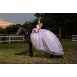 Spaghetti Strap Lilac Quinceanera Dress Sweetheart Neck Sweet 15 Gowns Lace Appliques 2024 Instagram Gowns Vestidos De 15 Anos