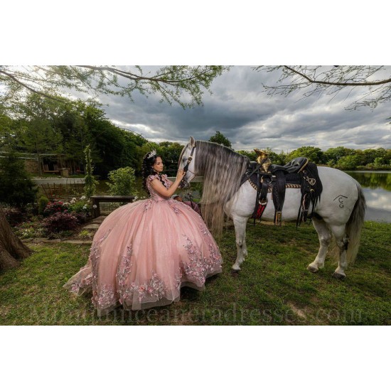 Sweetheart Neck Pink Quinceanera Dress Off Shoulder Sweet 15 Gowns Lace Appliques Vestidos De 15 Anos 2024 Instagram Gowns