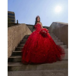 Sweetheart Neck Red Quinceanera Dress 3D Flowers Sweet 15 Gowns Sleeveless 2024 Instagram Gowns Vestidos De 15 Anos