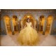 V Neck Gold Quinceanera Dress Off Shoulder Sweet 15 Gowns Lace Appliques Vestidos De 15 Anos Ruffled 2024 Instagram Gowns