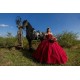 Vestidos De 15 Anos Red Quinceanera Dress Sweetheart Neck Sweet 15 Gowns Lace Appliques Off Shoulder 2024 Instagram Gowns