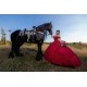 Vestidos De 15 Anos Red Quinceanera Dress Sweetheart Neck Sweet 15 Gowns Lace Appliques Off Shoulder 2024 Instagram Gowns