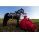 Vestidos De 15 Anos Red Quinceanera Dress Sweetheart Neck Sweet 15 Gowns Lace Appliques Off Shoulder 2024 Instagram Gowns