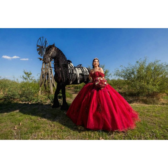 Vestidos De 15 Anos Red Quinceanera Dress Sweetheart Neck Sweet 15 Gowns Lace Appliques Off Shoulder 2024 Instagram Gowns