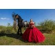 Vestidos De 15 Anos Red Quinceanera Dress Sweetheart Neck Sweet 15 Gowns Lace Appliques Off Shoulder 2024 Instagram Gowns