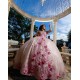 Vestidos De 15 Anos Sweetheart Neck Pink Quinceanera Dress 3D Flowers Sweet 15 Gowns Off Shoulder 2024 Instagram Gowns