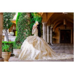 Long Sleeve Champagne Quince Dress Sweetheart Neck Instagram Gowns Birthday Party Dresses Lace Appliques Vestidos De 15 Anos