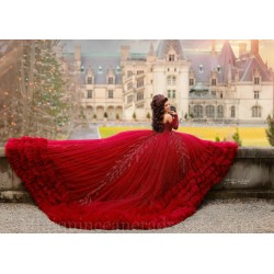 Long Sleeve Red Quince Dress Lace Appliques Vestidos De 15 Anos Sweetheart Neck Instagram Gowns Ruffled Birthday Party Dresses