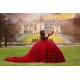 Long Sleeve Red Quince Dress Lace Appliques Vestidos De 15 Anos Sweetheart Neck Instagram Gowns Ruffled Birthday Party Dresses