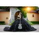 Off Shoulder Black Quince Dress Vestidos De 15 Anos V Neck Instagram Gowns Tiered Birthday Party Dresses