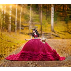 Off Shoulder Burgundy Quince Dress V Neck Instagram Gowns Birthday Party Dresses Ruffled Vestidos De 15 Anos