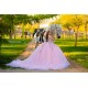 Off Shoulder Pink Quince Dress Sweetheart Neck Instagram Gowns Lace Appliques Vestidos De 15 Anos Birthday Party Dresses