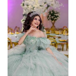 Off Shoulder Sage Green Quince Dress Square Collar Instagram Gowns Lace Appliques Vestidos De 15 Anos Birthday Party Dresses