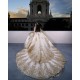 Long Sleeve Champagne Quince Dress Lace Appliques Sweet 15 Prom Party Gowns V Neck Vestidos De 15 Anos