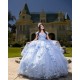 Sweetheart Neck Sky Blue Quinceanera Dress Sweet 15 Gowns Off Shoulder Wear Pageant 3D Flowers 2024 Ball Gown Princess Dresses