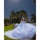 Sweetheart Neck Sky Blue Quinceanera Dress Sweet 15 Gowns Off Shoulder Wear Pageant 3D Flowers 2024 Ball Gown Princess Dresses