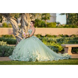 Sweetheart Neck Sage Green Quince Dress Sleeveless 15 Birthday Party Gowns 3D Flowers Vestidos De XV Anos