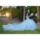 Sweetheart Neck Sky Blue Quince Dress Strapless Sweet 15 Gowns Sleeveless 15 Birthday Party Gowns 3D Flowers Vestidos De XV Anos