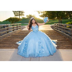 Sweetheart Neck Sky Blue Quince Dress Strapless Sweet 15 Gowns Sleeveless 15 Birthday Party Gowns 3D Flowers Vestidos De XV Anos