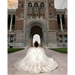 Long Sleeve Gold Quince Dress Sequin Lace Appliques Sweet 15 Gowns Sweetheart Neck Vestidos De 15 Anos