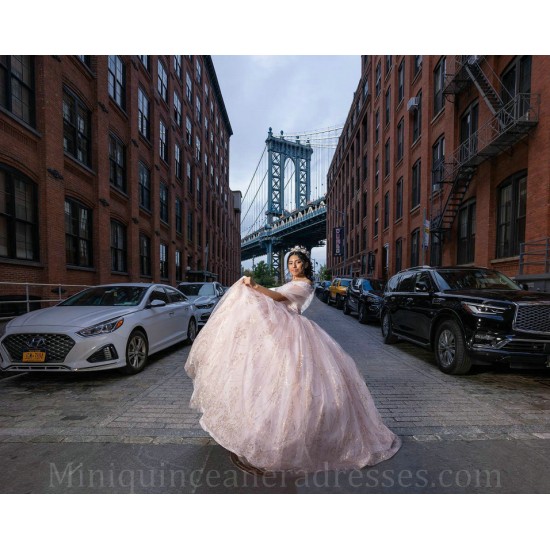 Off Shoulder Vestidos De 15 Anos Pink Quince Dress Lace Appliques V Neck Birthday Party Dress