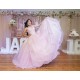 Sleeveless Princess Quinceanera Dresses Pink Quince Dress Lace Appliques Vestidos De 15 Anos