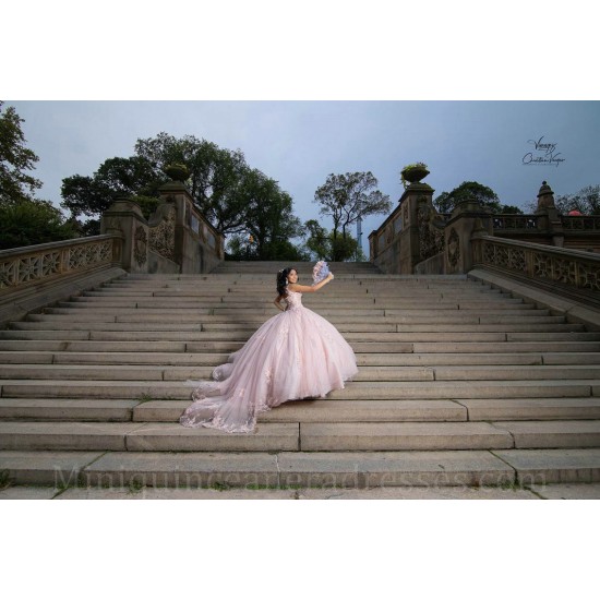 Sleeveless Princess Quinceanera Dresses Pink Quince Dress Lace Appliques Vestidos De 15 Anos