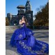 Sweetheart Neck Blue Quince Dress Sleeveless Girls Ball Gown Sweet 16 Dresses Lace Appliques Vestidos De 15 Anos