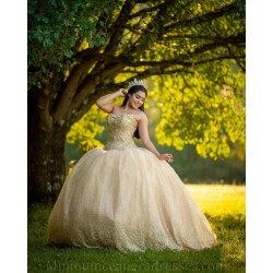 Sleeveless Vestidos De 15 Anos Gold Dress Girl Quince Sweetheart Neck Women 2024 Ball Gown Sequin Lace Appliques Girl Birthday Gowns