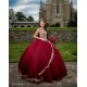 Sleeveless Vestidos De 15 Anos Red Dress Girl Quince Women 2024 Ball Gown Lace Appliques Girl Birthday Gowns