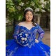 Long Sleeve 15 Anos Blue Quince Dress Lace Appliques Girl Birthday Gowns Sweetheart Neck Sweet 15 Gowns