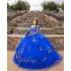 Long Sleeve 15 Anos Blue Quince Dress Lace Appliques Girl Birthday Gowns Sweetheart Neck Sweet 15 Gowns