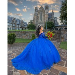 Long Sleeve 15 Anos Blue Quince Dress Lace Appliques V Neck Girl Birthday Gowns Lace Appliques Sweet 15 Gowns