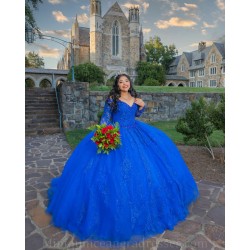 Long Sleeve 15 Anos Blue Quince Dress Lace Appliques V Neck Girl Birthday Gowns Lace Appliques Sweet 15 Gowns