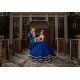 Long Sleeve Vestidos De 15 Anos Blue Dress Girl Quince Women 2024 Ball Gown Lace Appliques Girl Birthday Gowns